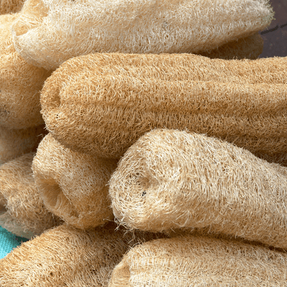 Natural Loofah Sponge – 6" Cut, Organic & Biodegradable | Daily Health & Beauty