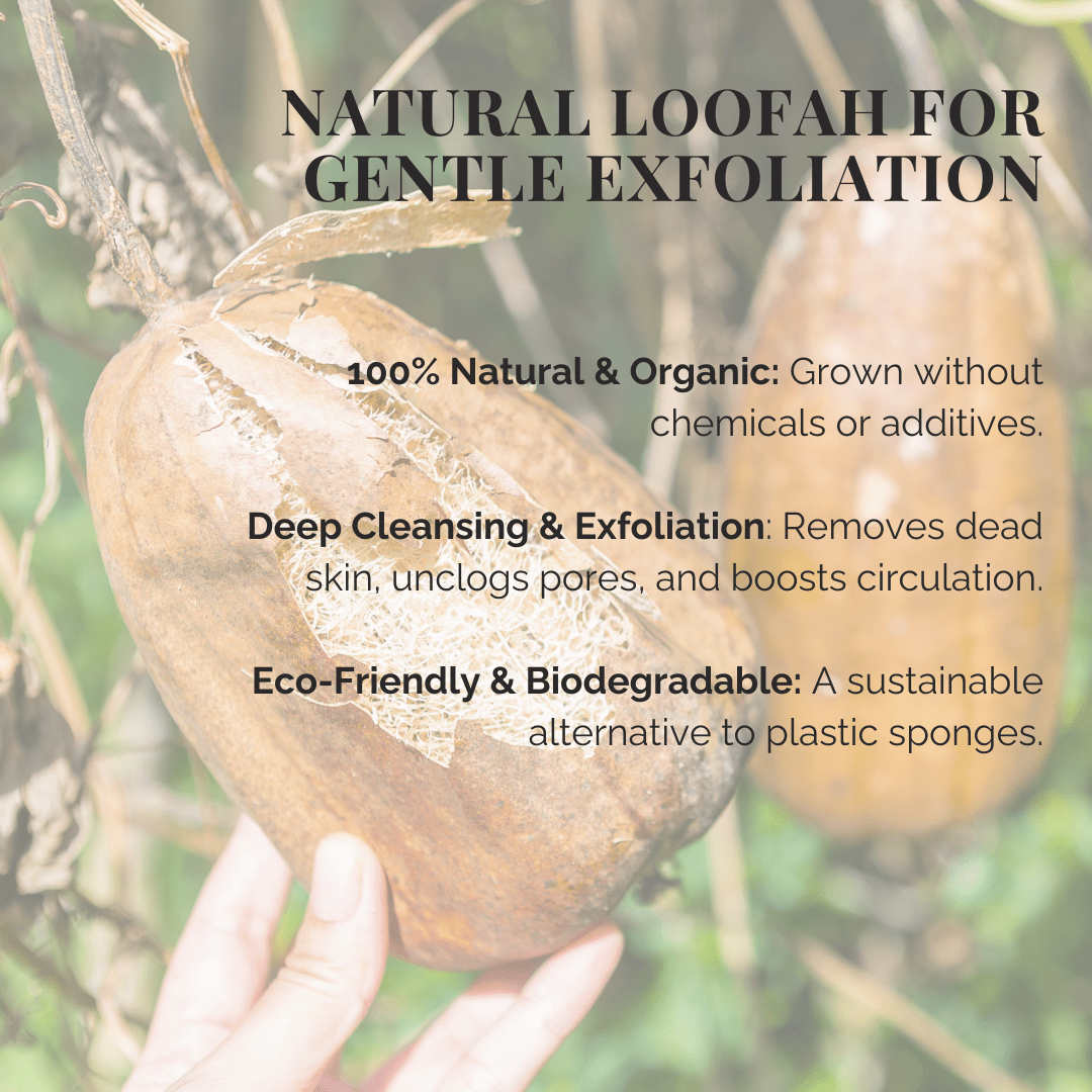 Natural Loofah Sponge – 6" Cut, Organic & Biodegradable | Daily Health & Beauty