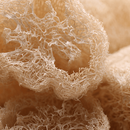 Natural Loofah Sponge – 6" Cut, Organic & Biodegradable | Daily Health & Beauty