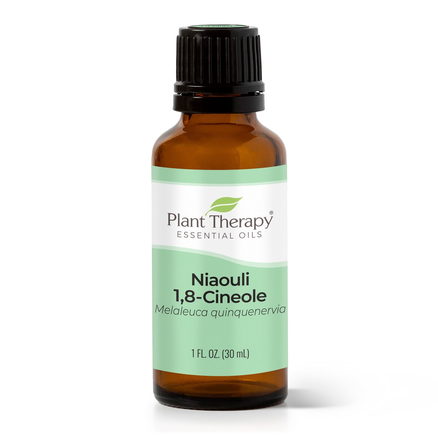 Aceite esencial de niaouli 1,8-cineol