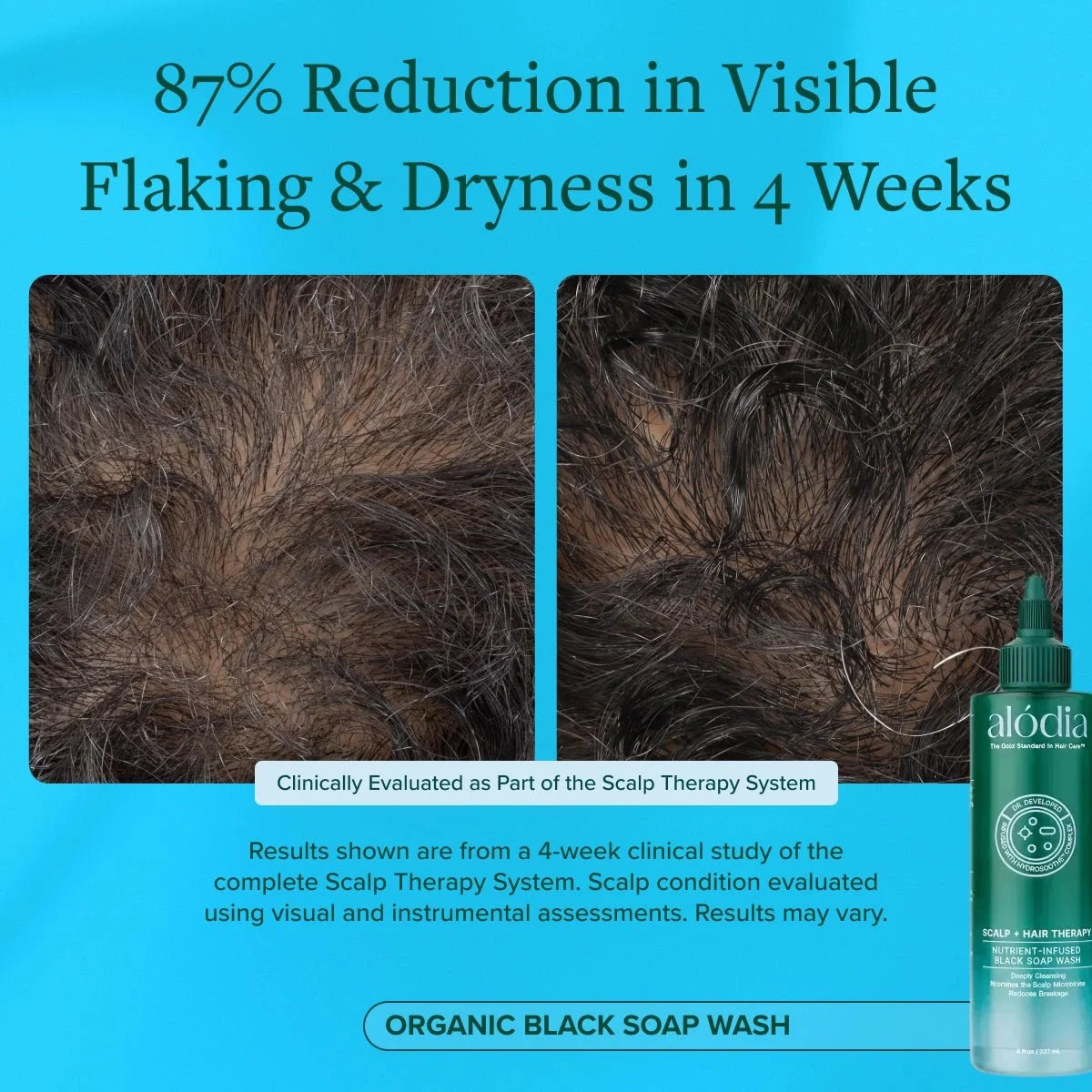 Nutrient Infused Organic Black Soap Wash