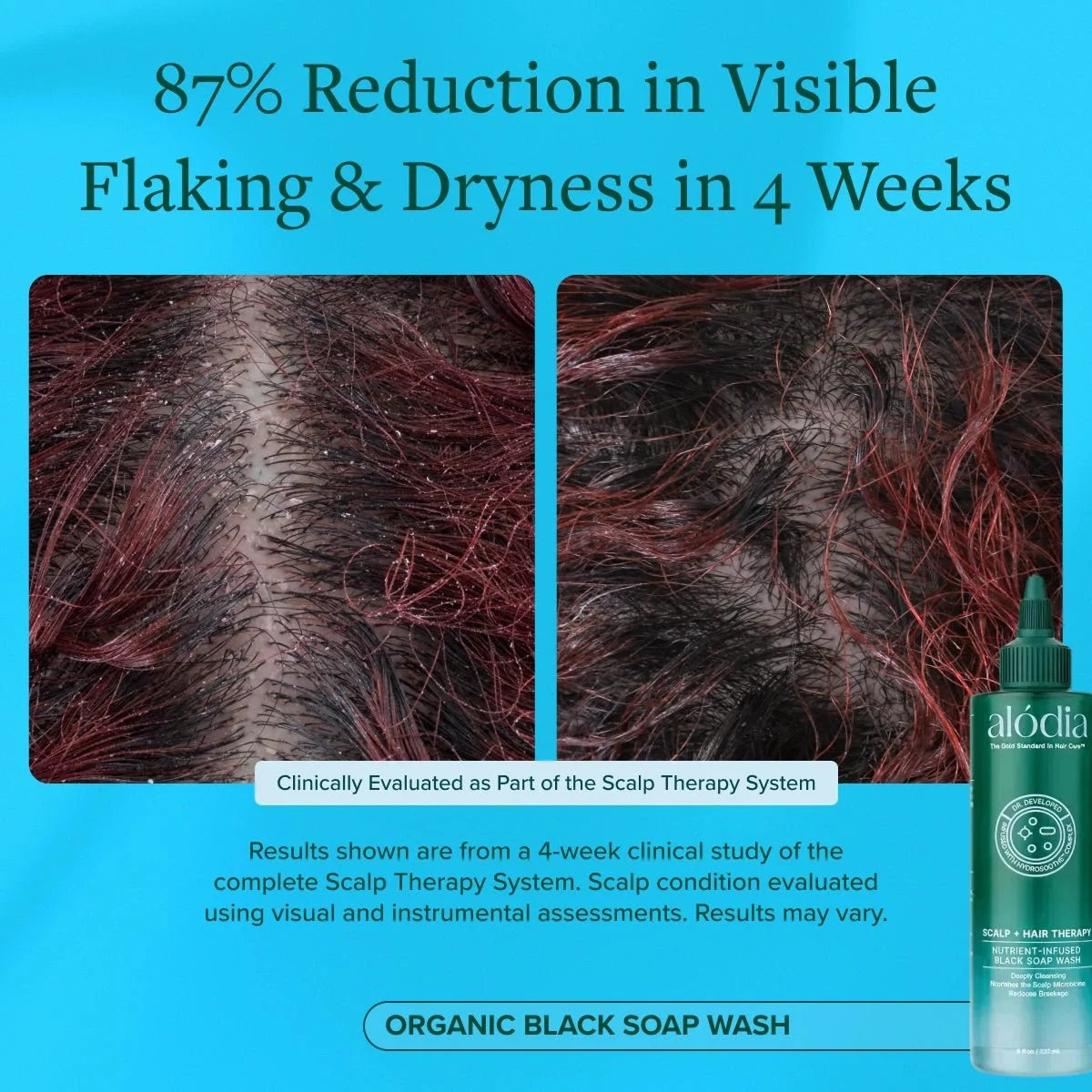 Nutrient Infused Organic Black Soap Wash