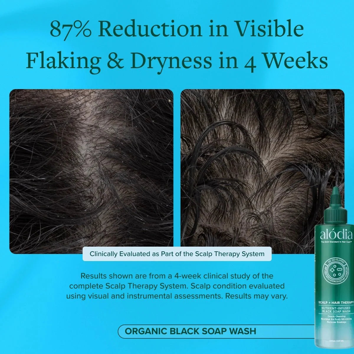 Nutrient Infused Organic Black Soap Wash