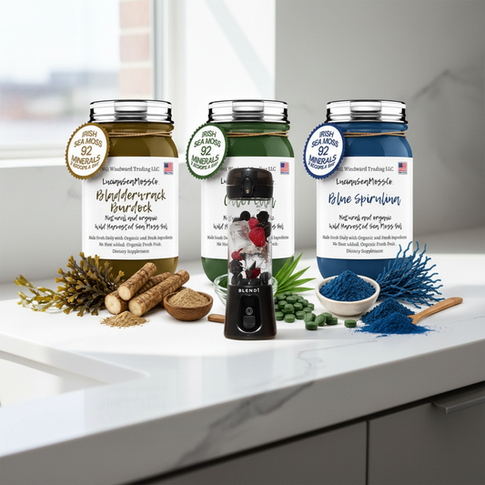 Organic Ocean & Earth Superfood Sea Moss Gel Bundle featuring Bladderwrack Burdock, Chlorella, and Blue Spirulina sea moss gel jars with a BLENDi Pro+ Portable Blender on a wellness counter — Daily Health & Beauty.