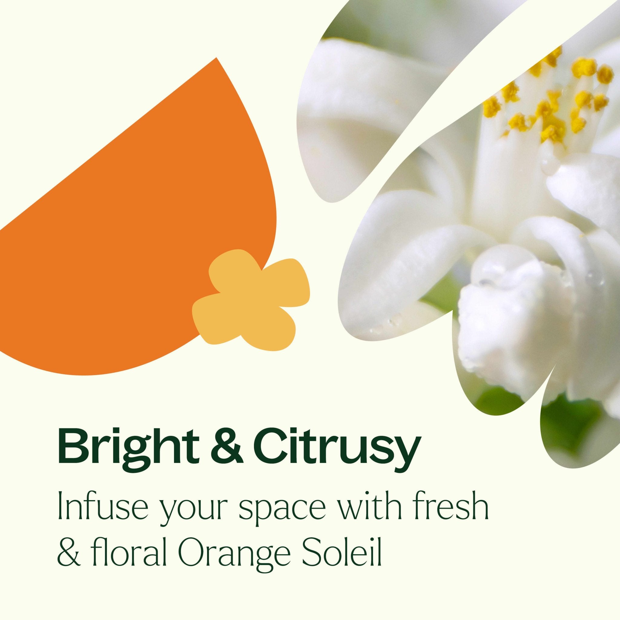 Orange Soleil Naturally Scented Candle | Daily Health & Beauty
