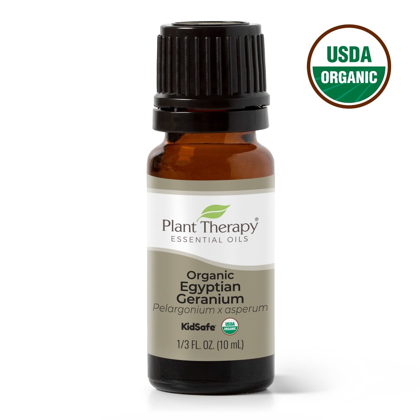 Organic Egyptian Geranium Essential Oil | Daily Health & Beauty