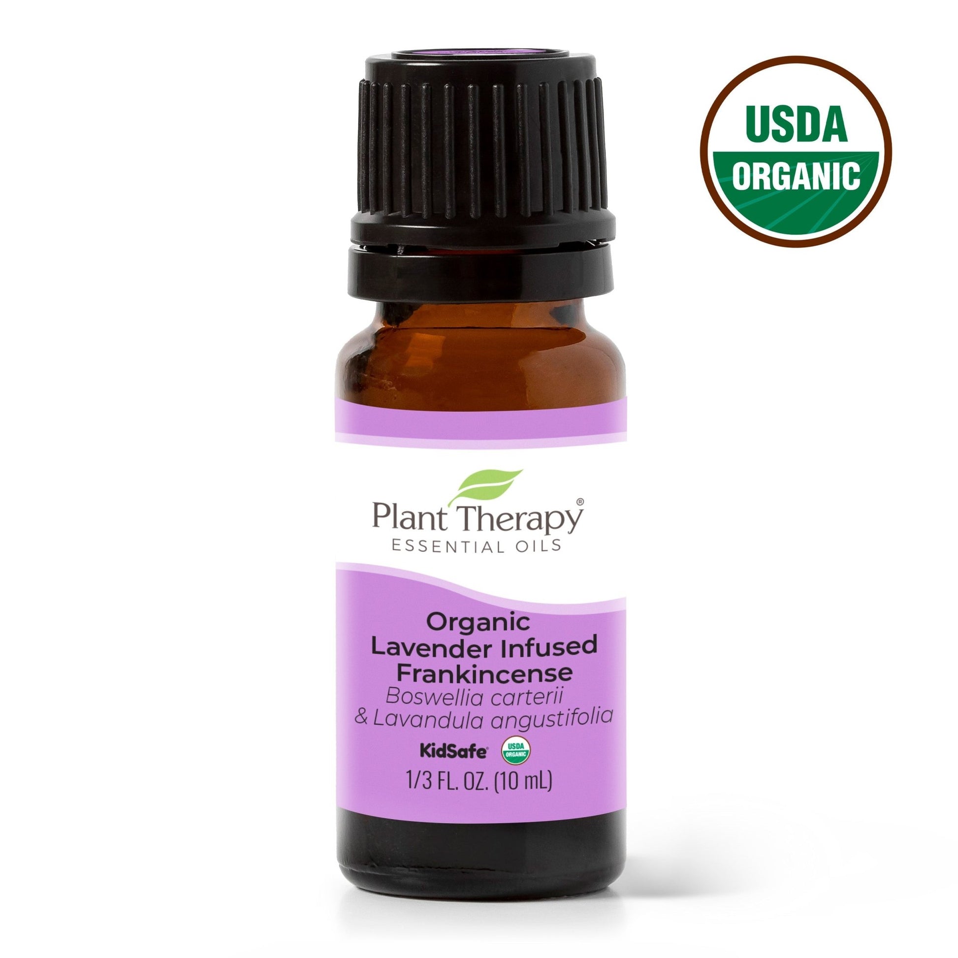 Organic Lavender Infused Frankincense Essential Oil Infusion | Daily Health & Beauty