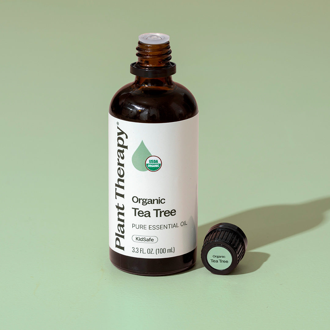 Aceite esencial de árbol de té orgánico