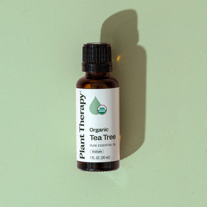 Aceite esencial de árbol de té orgánico