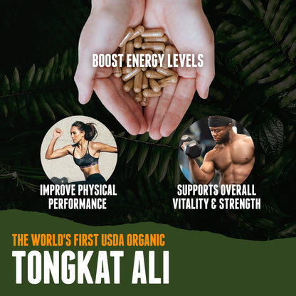 Tongkat Ali