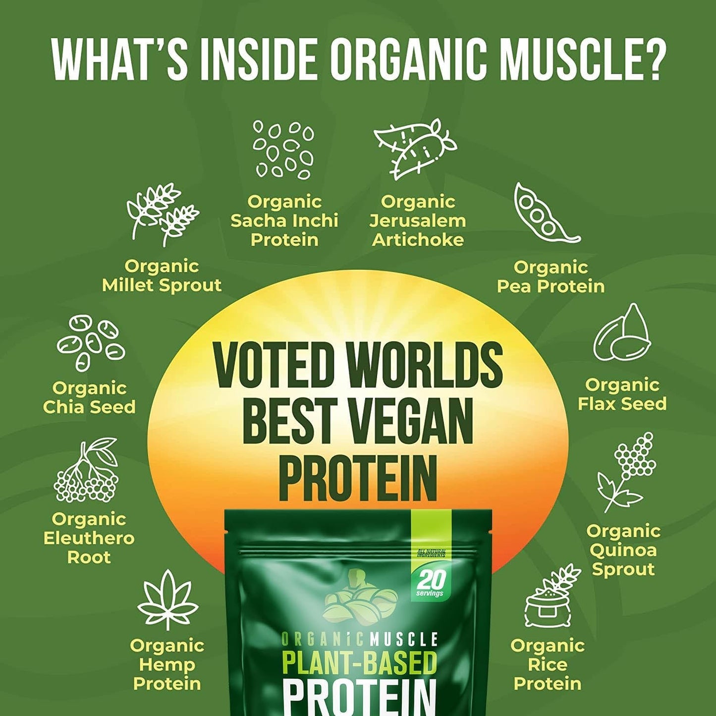Organic Vegan Protein - Chocolate