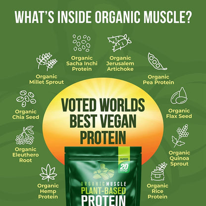Organic Vegan Protein - Chocolate