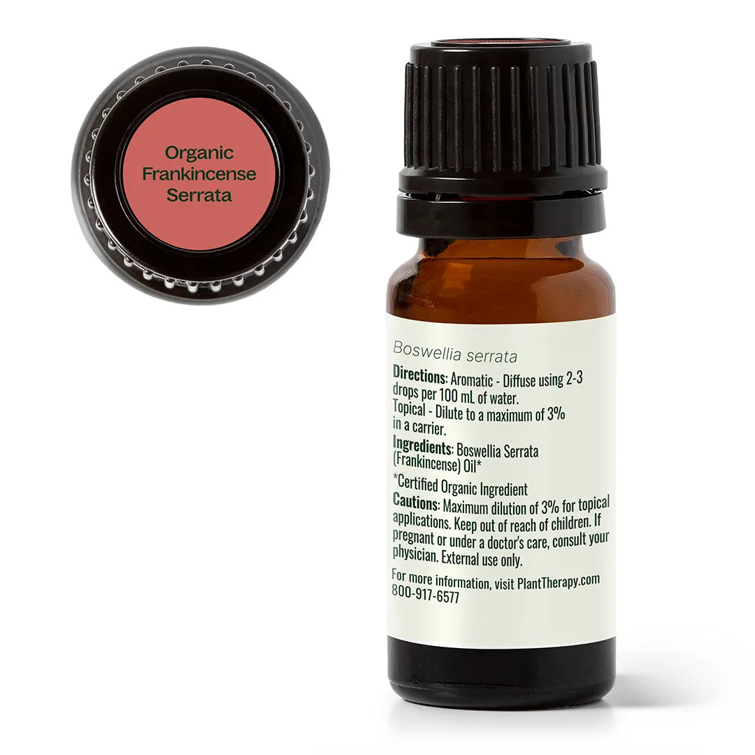 Aceite esencial de incienso serrata orgánico