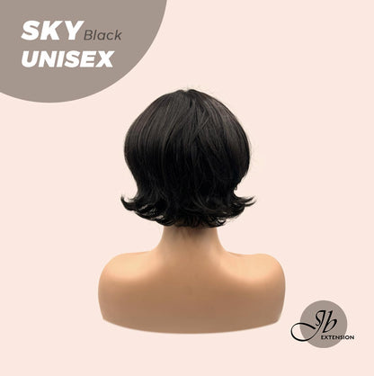 JBEXTENSION 8 Inches Black Curly Unisex Wig Man Wig SKY UNISEX BLACK