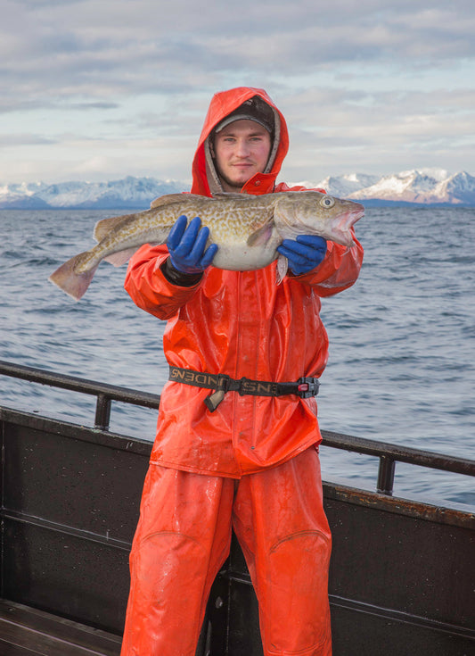 Morue du Pacifique – 20 livres