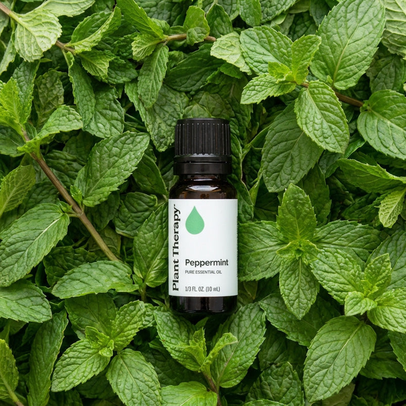 Aceite esencial de menta