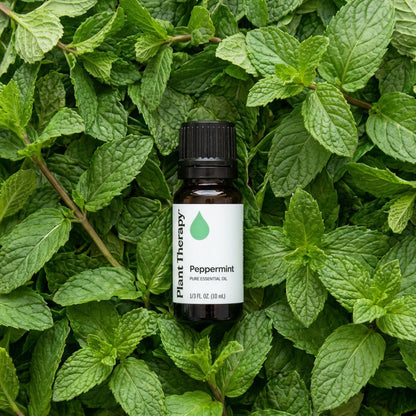 Aceite esencial de menta