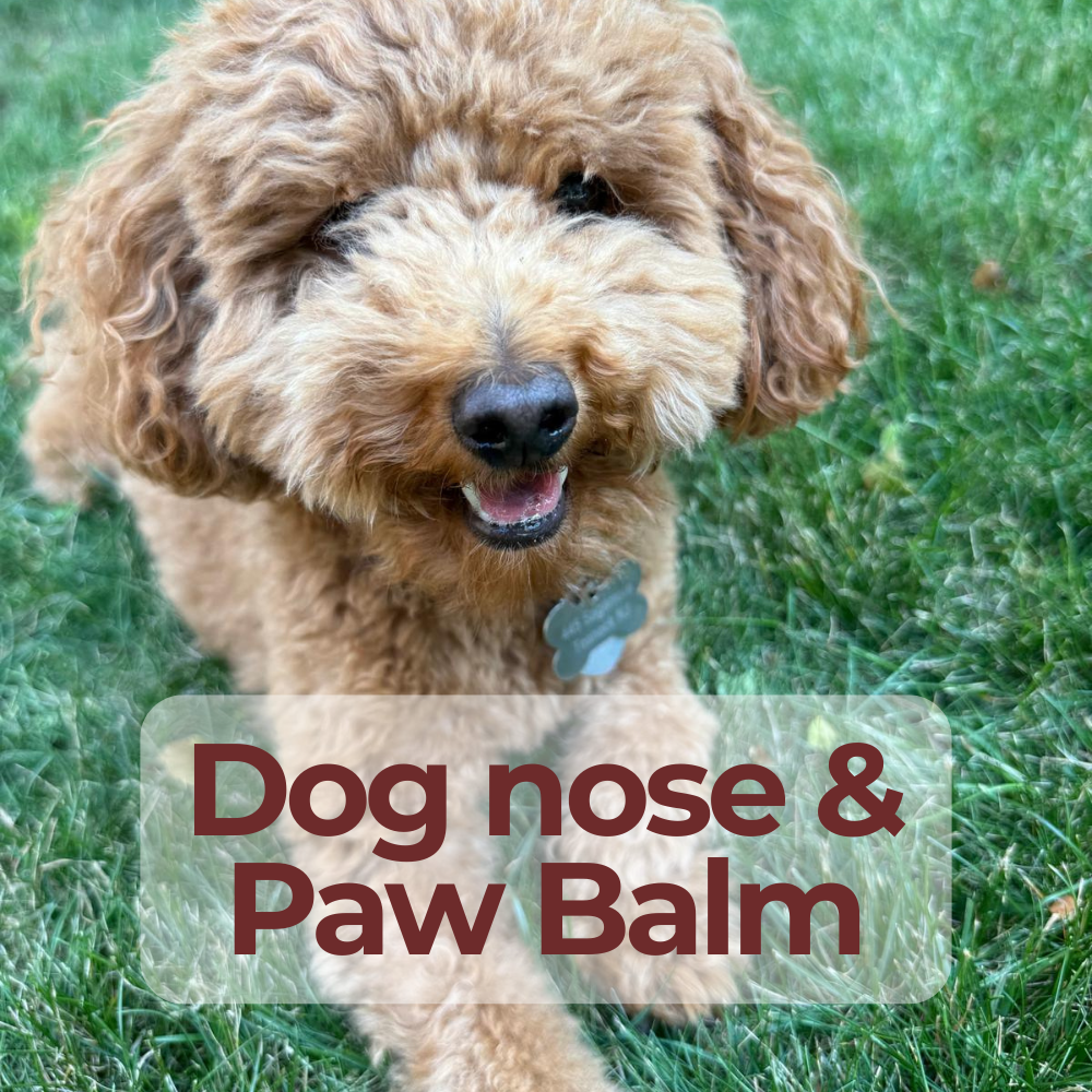 Pet Salve & Lavender Balm