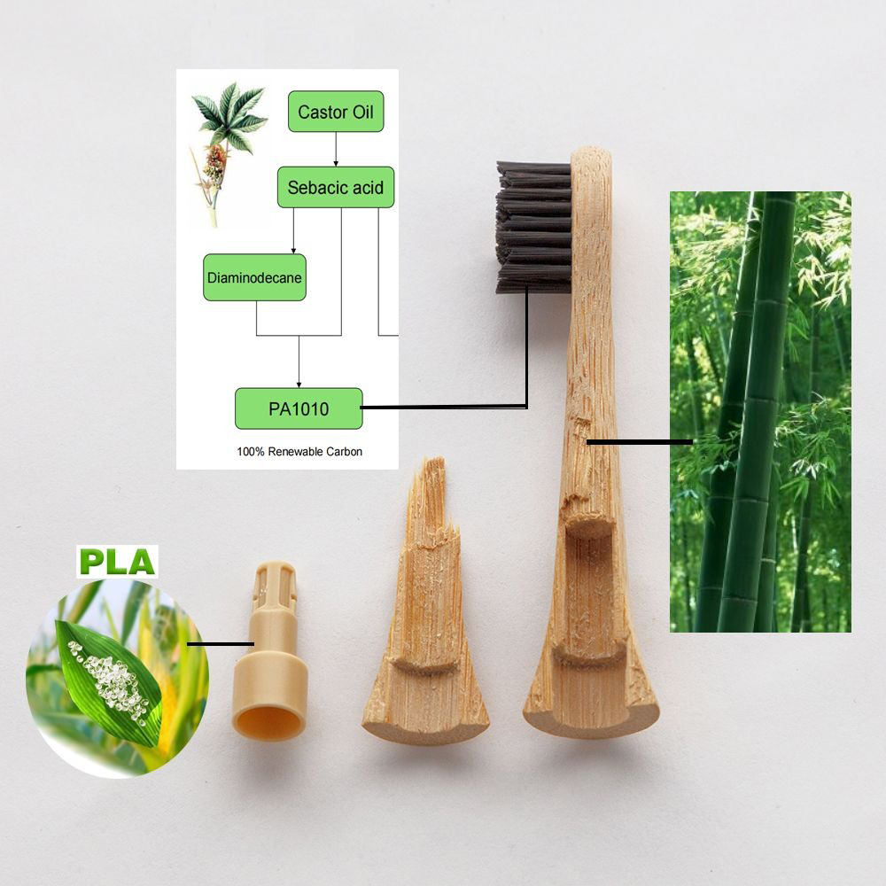 Replacement Heads for Kaylaan's Electric Bamboo Toothbrush