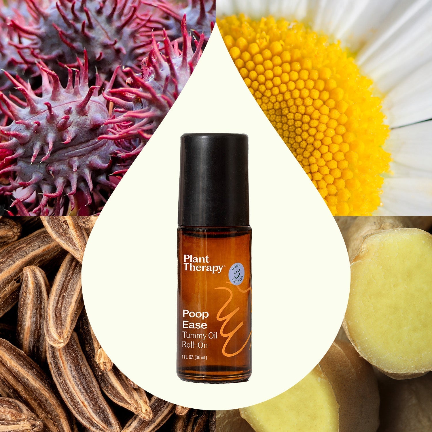 PoopEase Tummy Oil Roll - On | Daily Health & Beauty