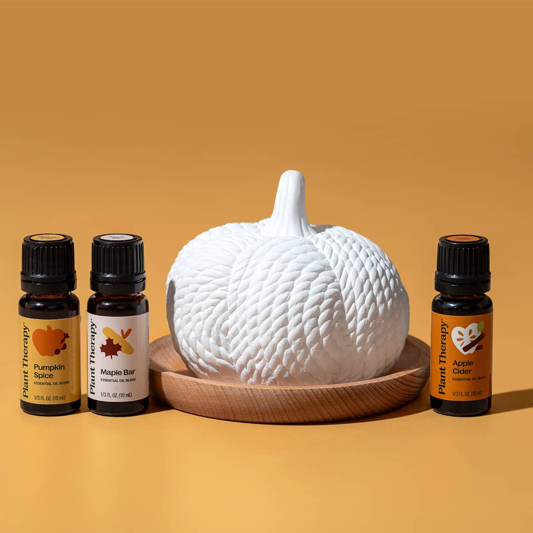 Pumpkin Passive Diffuser | Daily Health & Beauty