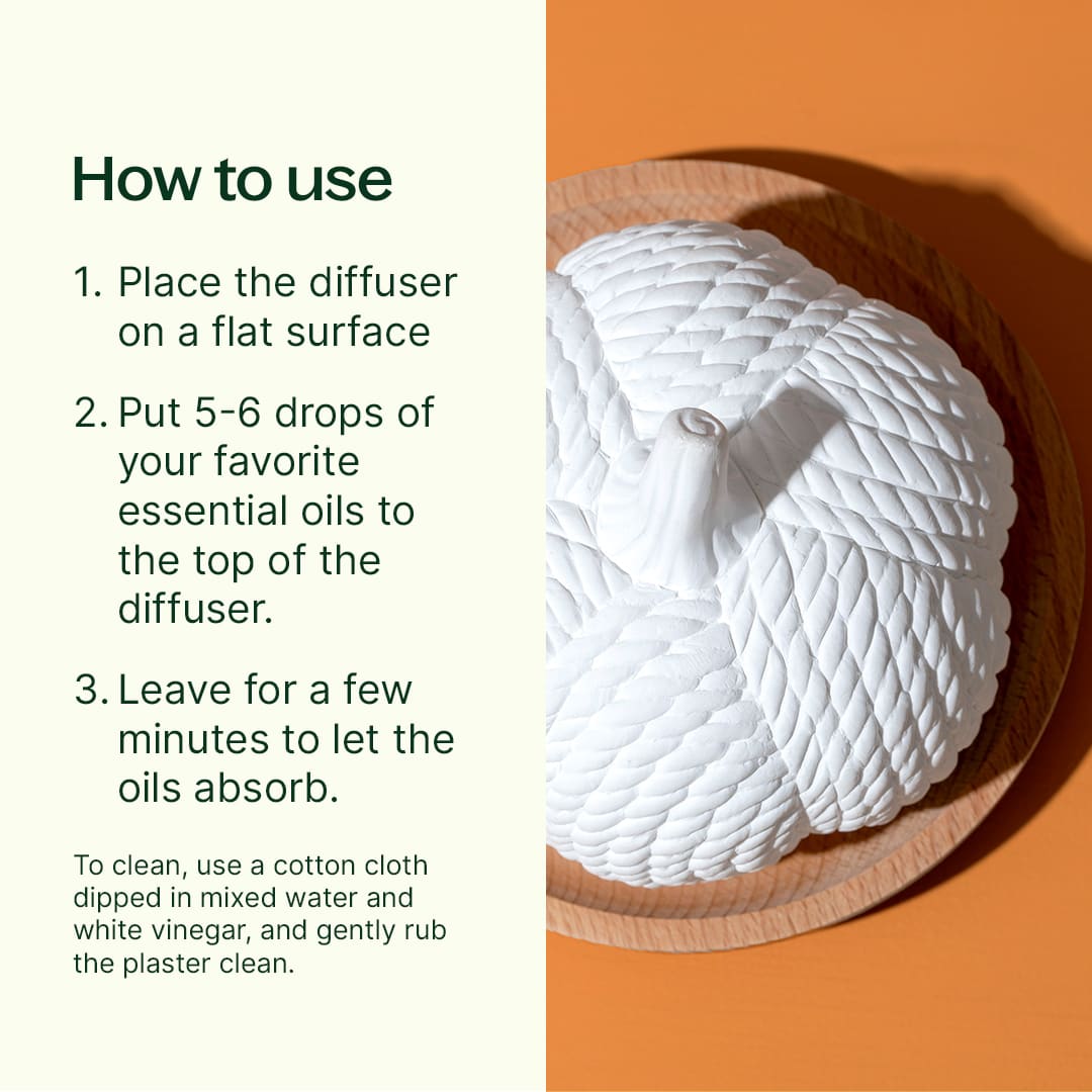 Pumpkin Passive Diffuser | Daily Health & Beauty