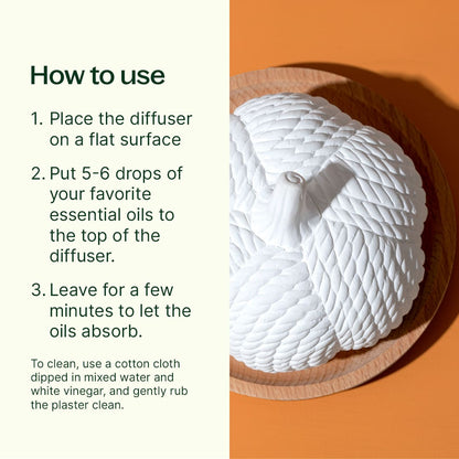 Pumpkin Passive Diffuser | Daily Health & Beauty