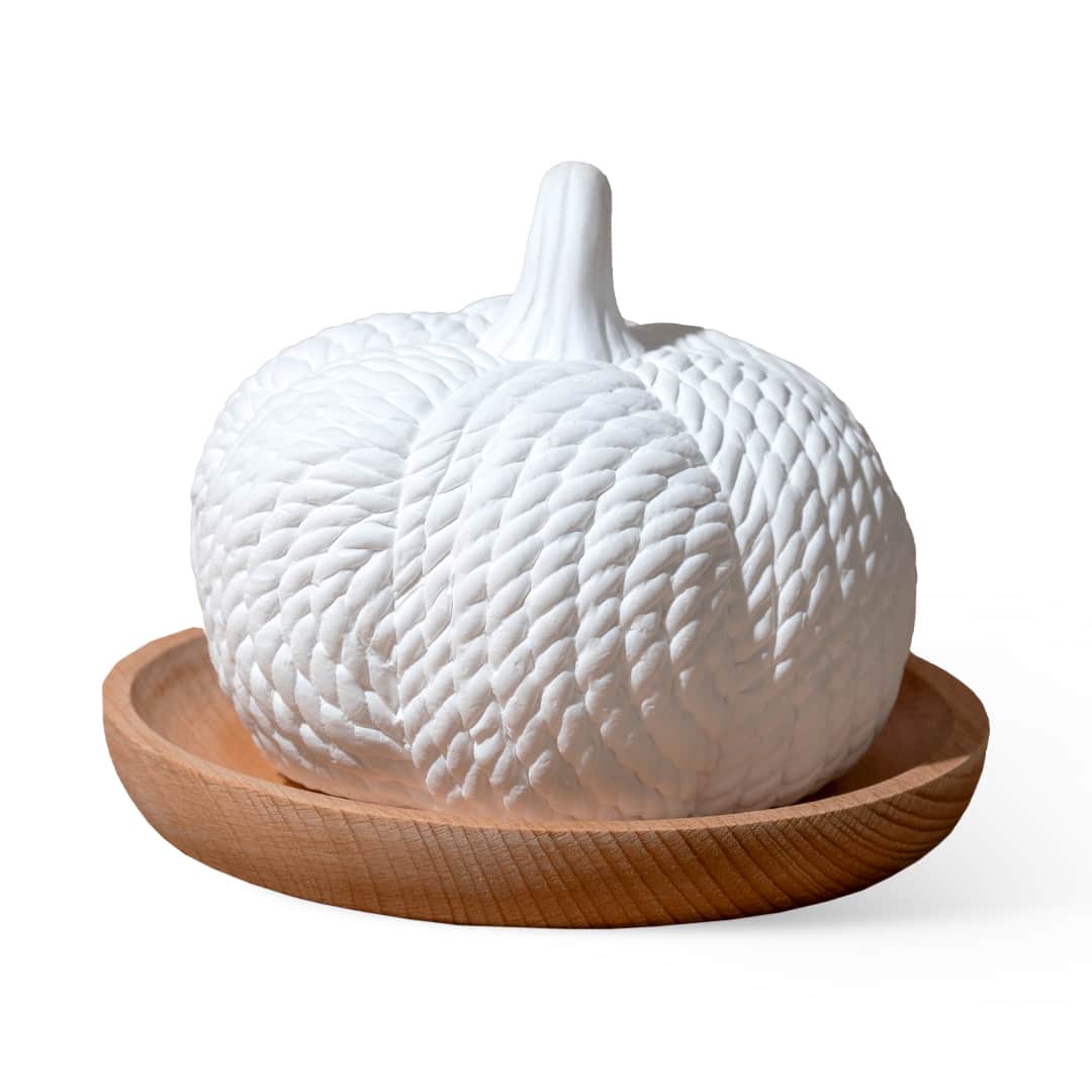 Pumpkin Passive Diffuser | Daily Health & Beauty