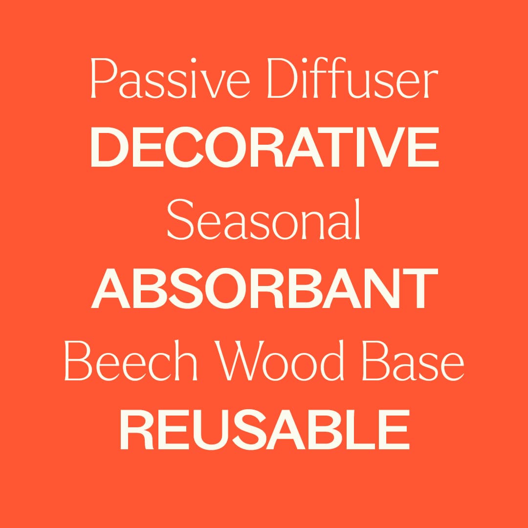 Pumpkin Passive Diffuser | Daily Health & Beauty