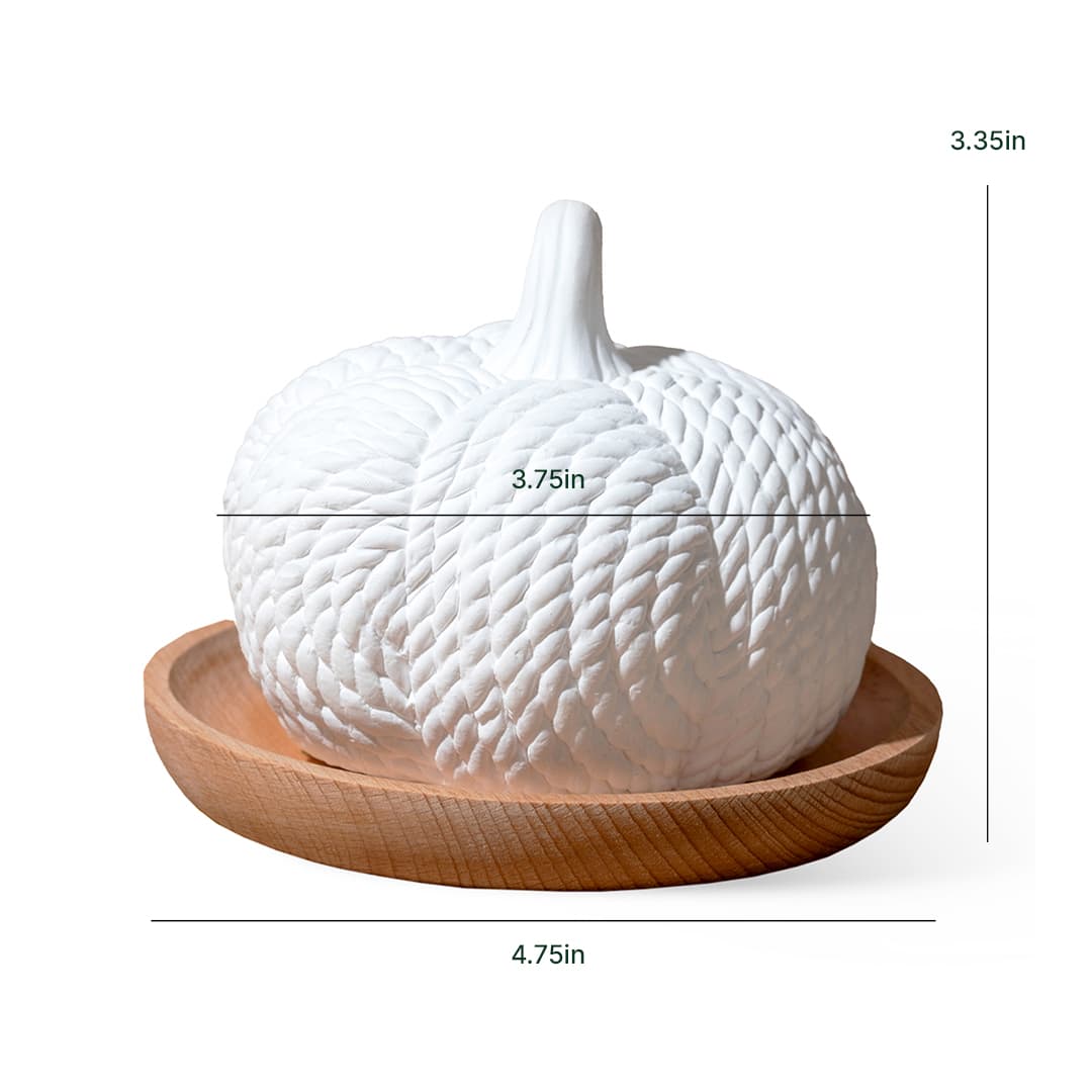 Pumpkin Passive Diffuser | Daily Health & Beauty