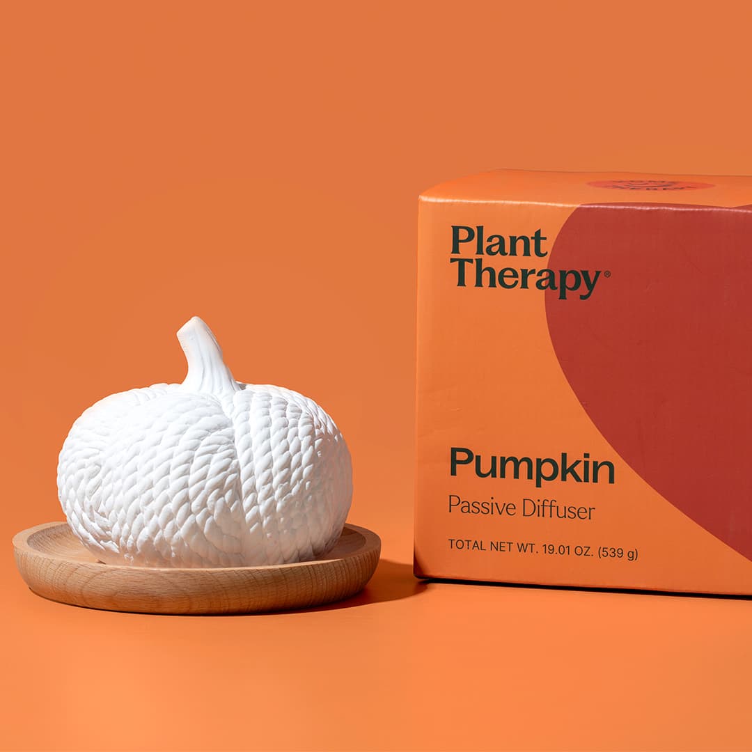 Pumpkin Passive Diffuser | Daily Health & Beauty