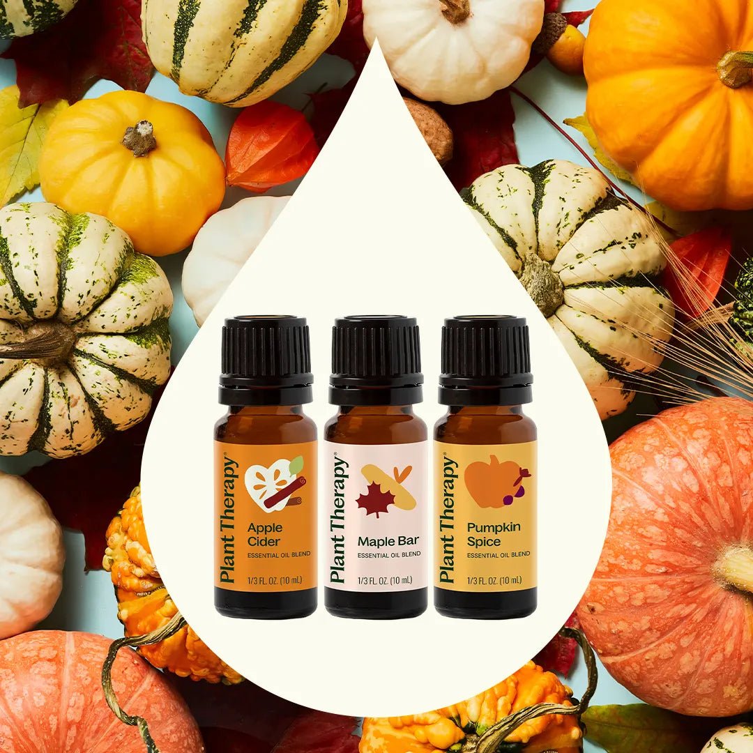Pumpkins & Porch Swings Essential Oil Blend 3 Set | Daily Health & Beauty