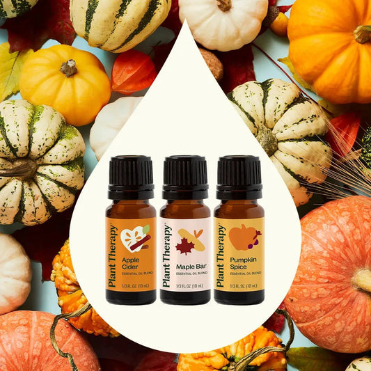 Pumpkins & Porch Swings Essential Oil Blend 3 Set | Daily Health & Beauty