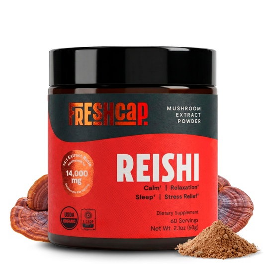 Polvo de extracto de hongo reishi