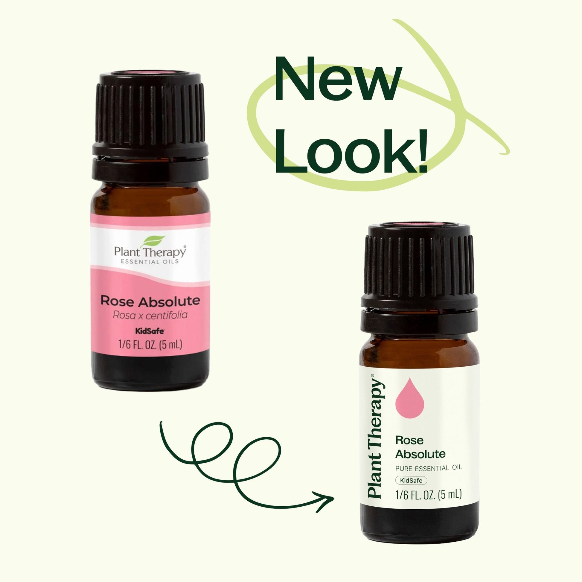 Rose Absolute Essential Oil | Daily Health & Beauty