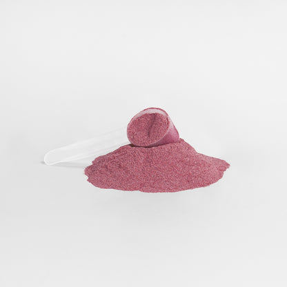 Rubina II Beetroot Powder |Circulation Support | 3.44 oz