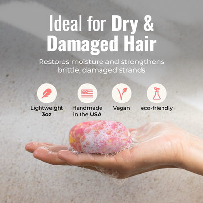 Shampoo & Conditioner Bar Duo