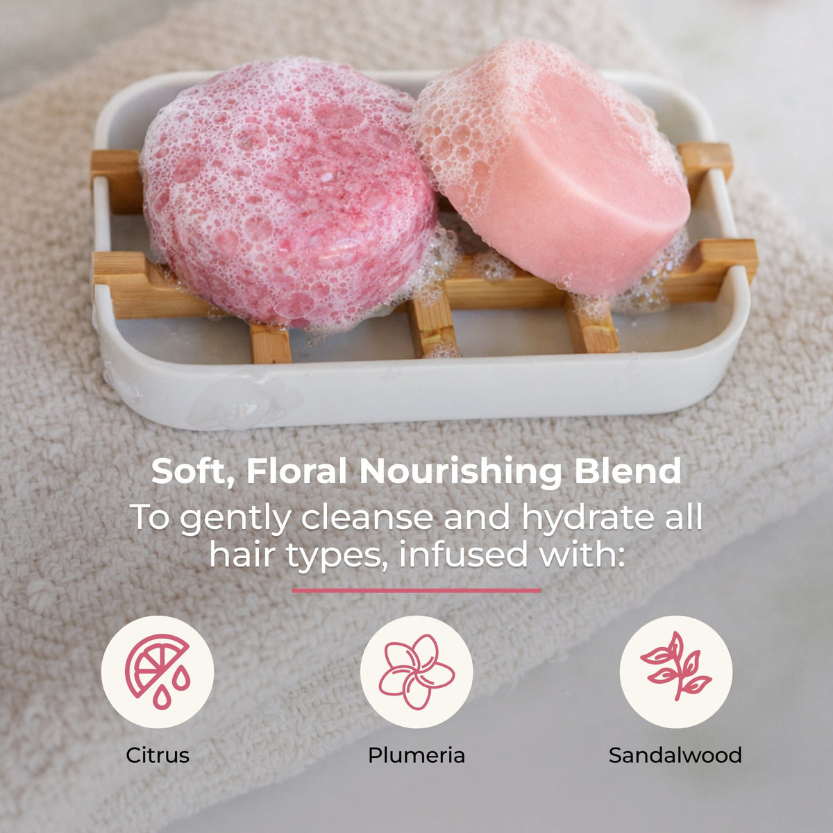 Shampoo & Conditioner Bar Duo