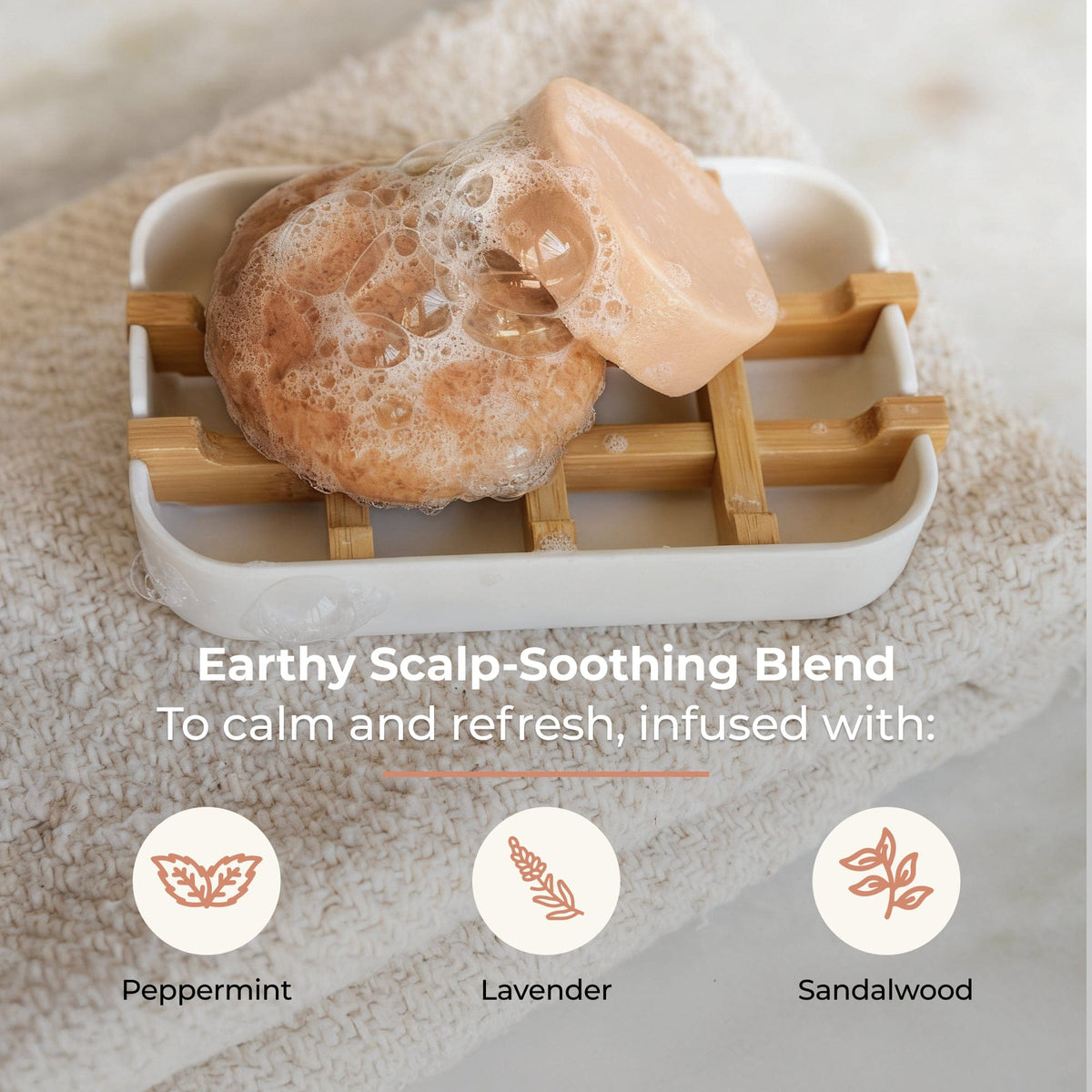 Shampoo & Conditioner Bar Duo