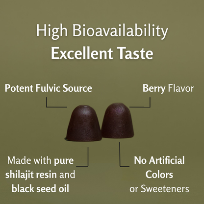 Himalayan Shilajit Gummies with Black Seed Oil