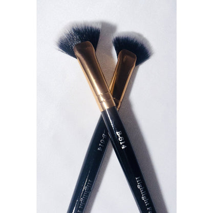 Highlight Fan Brush