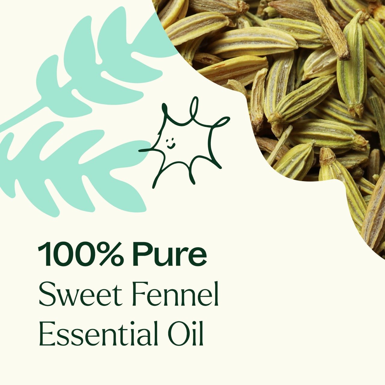 Sweet Fennel Essential Oil | Daily Health & Beauty