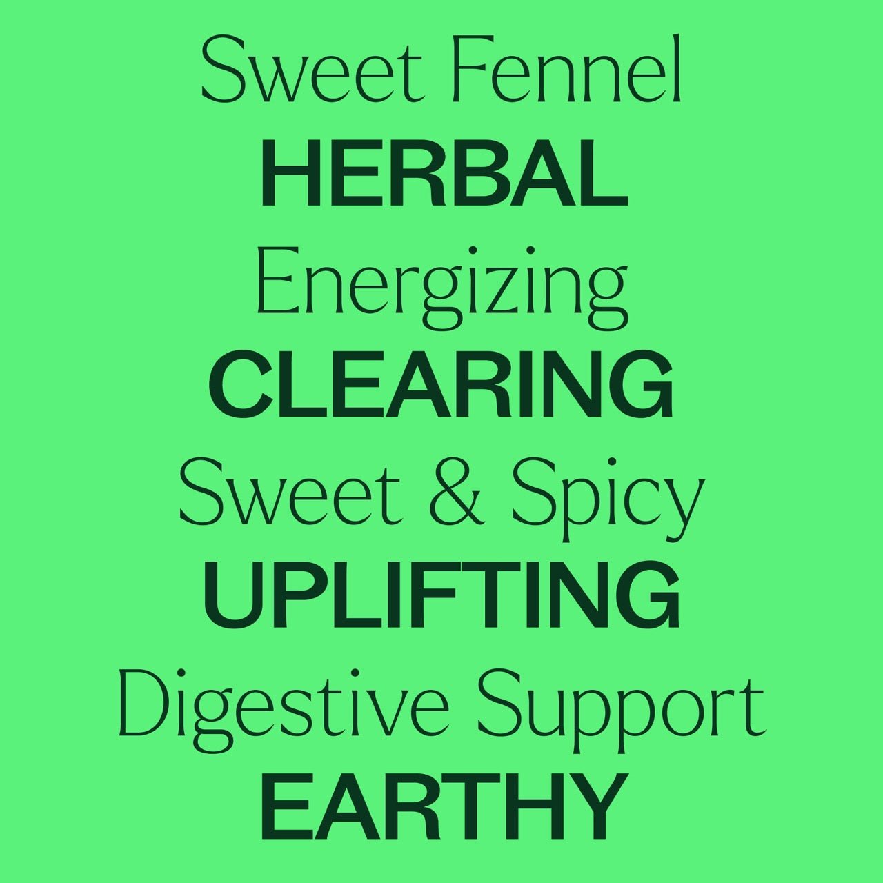 Sweet Fennel Essential Oil | Daily Health & Beauty