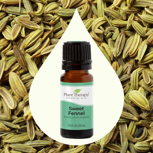 Sweet Fennel Essential Oil | Daily Health & Beauty