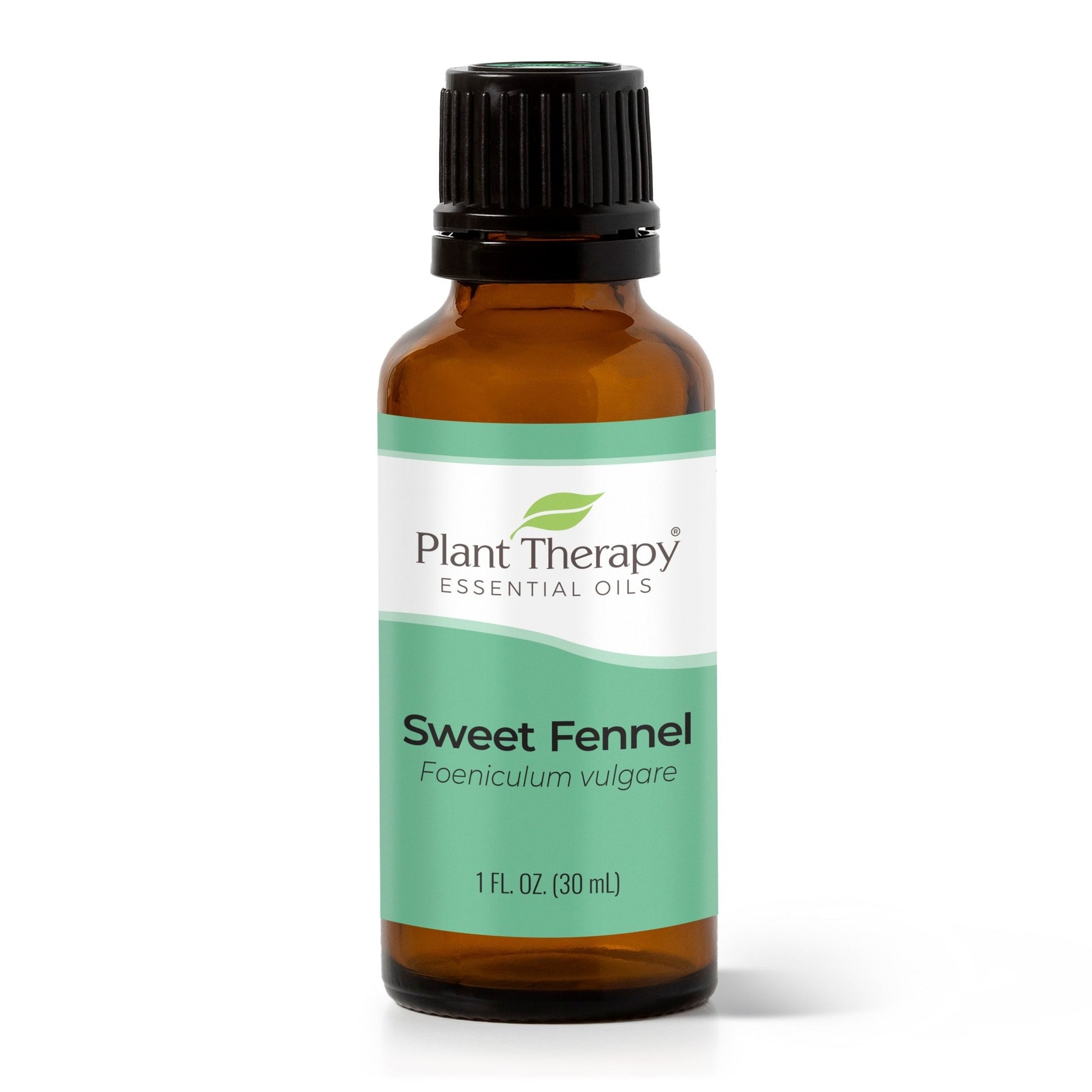 Sweet Fennel Essential Oil | Daily Health & Beauty