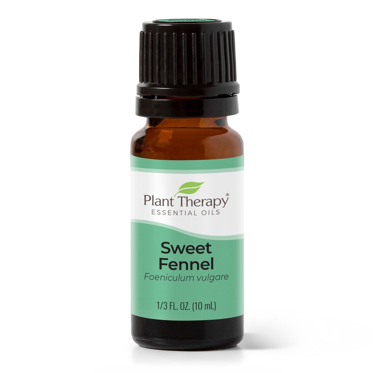 Sweet Fennel Essential Oil | Daily Health & Beauty