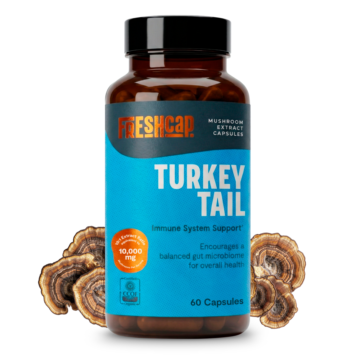Organic Turkey Tail Mushroom Capsules