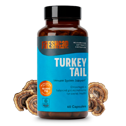 Organic Turkey Tail Mushroom Capsules