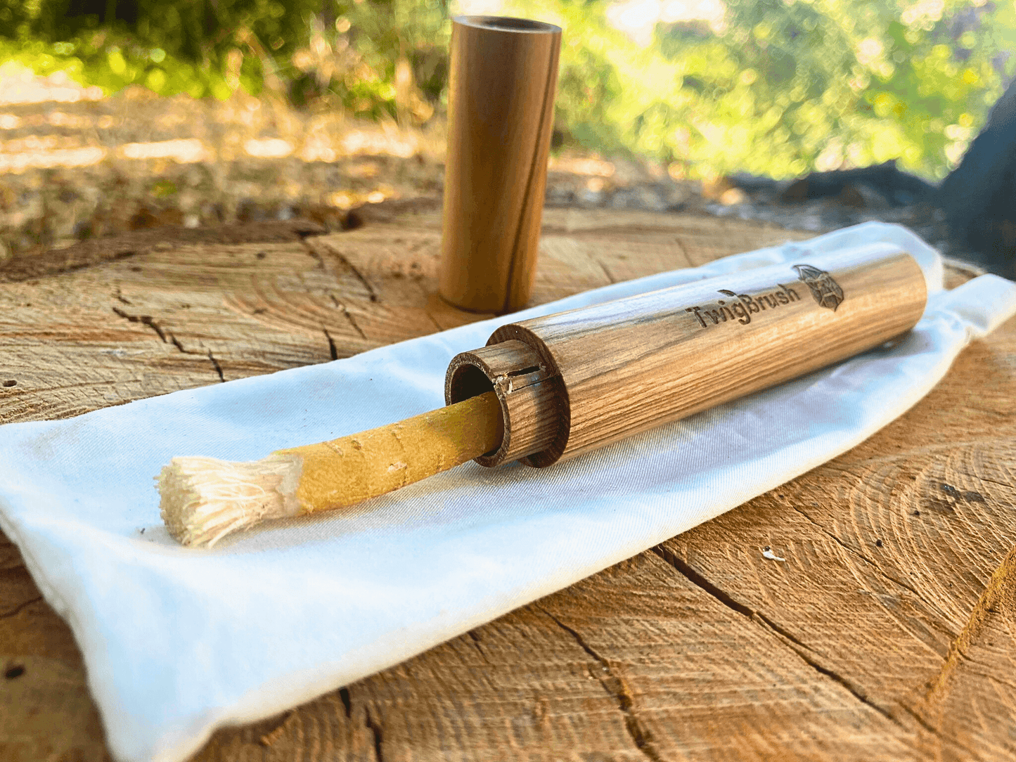 El cepillo de dientes Primal TwigBrush: cepillo de dientes natural a base de plantas