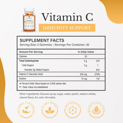 Halal Adult Immunity Booster Bundle – Multivitamin, Vitamin C, and Fish Oil